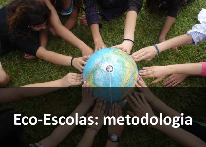 Eco-Escolas_Sintra_final12