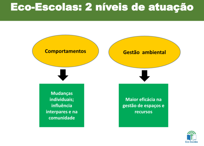 Eco-Escolas_Sintra_final14