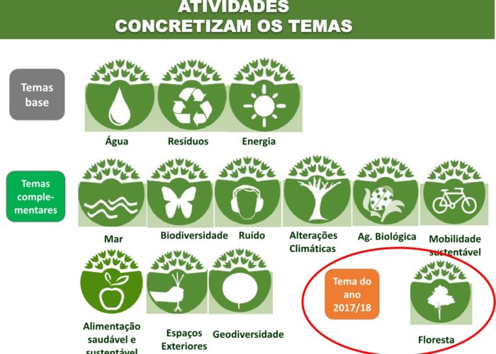 Eco-Escolas_Sintra_final17