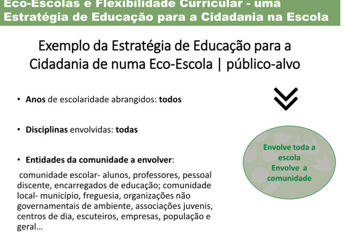 Eco-Escolas_Sintra_final29