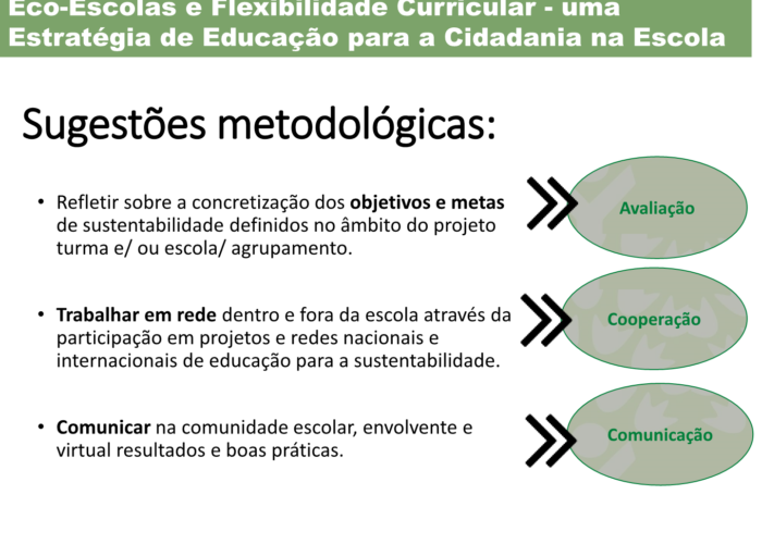 Eco-Escolas_Sintra_final32