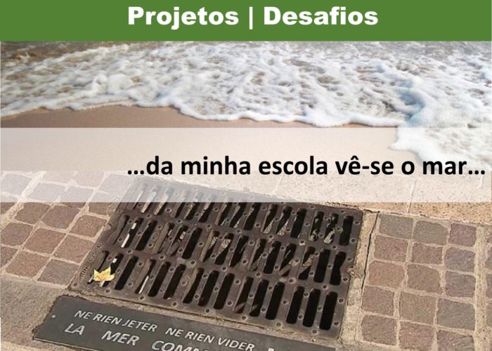 Eco-Escolas_Sintra_final57