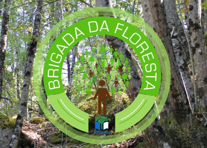 Eco-Escolas_Sintra_final59
