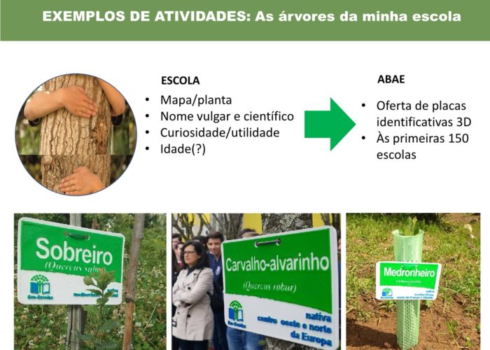 Eco-Escolas_Sintra_final61