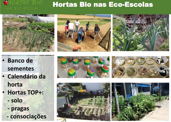 Eco-Escolas_Sintra_final63