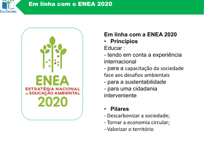 Eco-Escolas_Sintra_final8