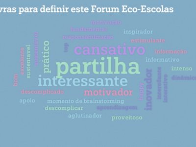 2-3-palavras-para-definir-este-forum-eco-escolas