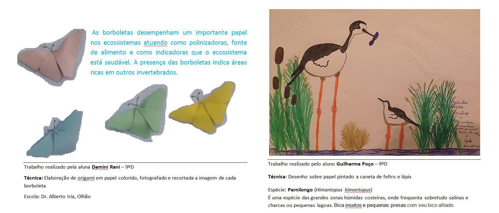 1 - As borboletas em origami.<br />
2 - O Pernilongo.