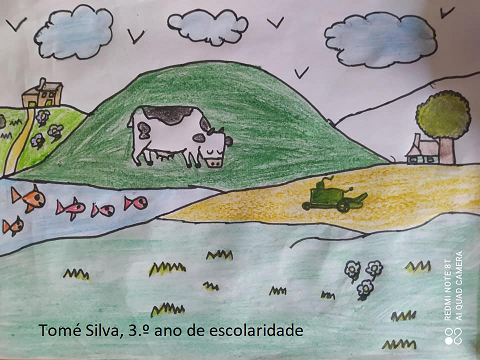 Tomé Silva, 3.ºano