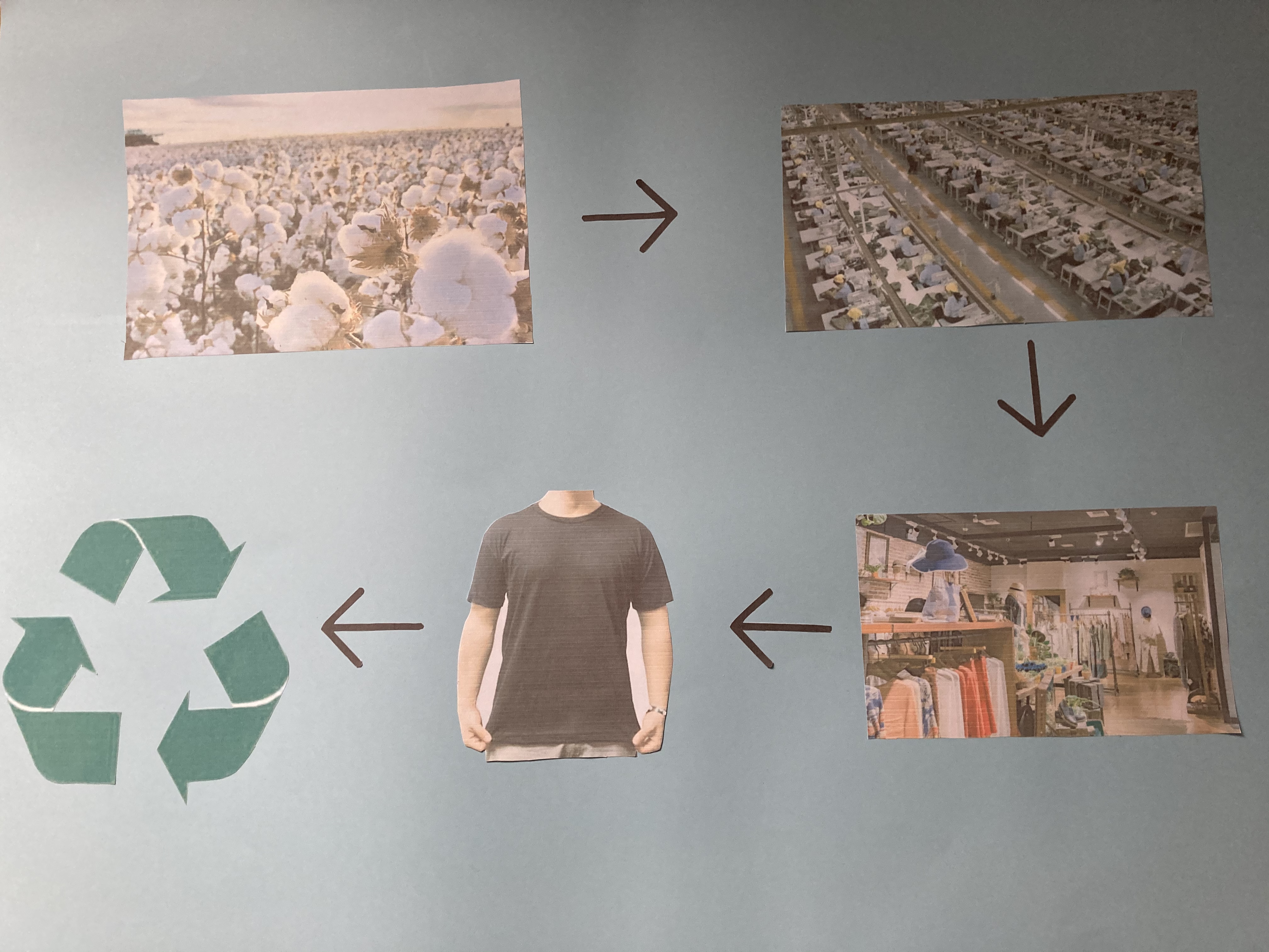Ciclo de vida de uma t-shirt de algodão